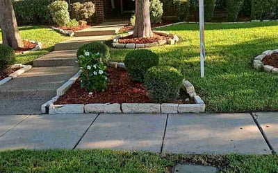 Photo of Ed T.'s yard after getting lawn care in Pico Rivera, CA