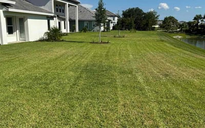 Photo of Dale J.'s yard after getting lawn care in Little Elm, TX