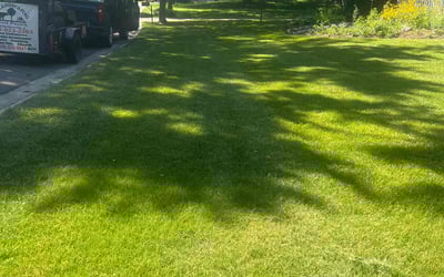 Photo of Maria M.'s yard after getting lawn care in Barrington, IL