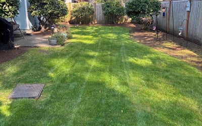 Photo of Earle D.'s yard after getting lawn care in Maple Valley, WA