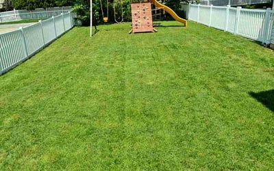 Photo of Ryan F.'s yard after getting lawn care in O'Fallon, MO