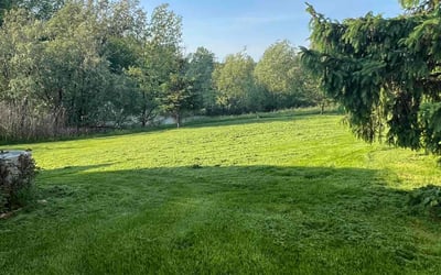 Photo of Jeremy T.'s yard after getting lawn care in Pittsford, NY