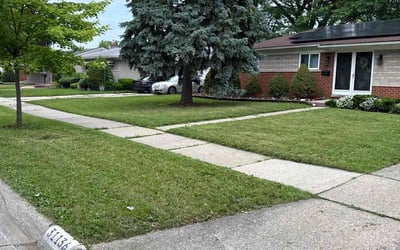 Photo of Anthony B.'s yard after getting lawn care in Port Charlotte, FL