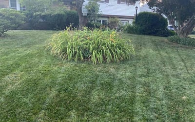 Photo of Ava S.'s yard after getting lawn care in Exton, PA