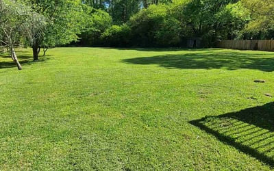 Photo of Claire B.'s yard after getting lawn care in Cookeville, TN