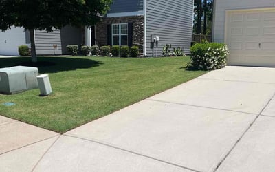 Photo of Denise W.'s yard after getting lawn care in Elk Grove, CA