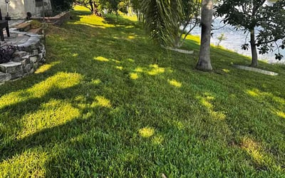 Photo of Cindi J.'s yard after getting lawn care in Azle, TX