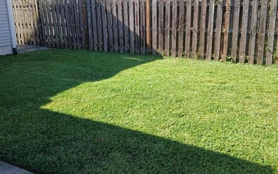 Photo of Angel S.'s yard after getting lawn care in Saint Peters, MO