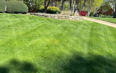 Photo of Nanette S.'s yard after getting lawn care in Lancaster, SC
