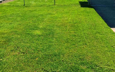 Photo of Helen H.'s yard after getting lawn care in Hamburg, NY