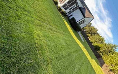 Photo of Vollie R.'s yard after getting lawn care in Deer Park, TX
