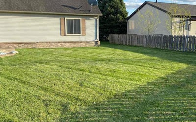Photo of Ray C.'s yard after getting lawn care in Macomb, MI