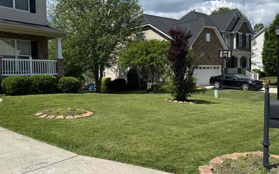 Photo of Kelsi D.'s yard after getting lawn care in Reidsville, NC