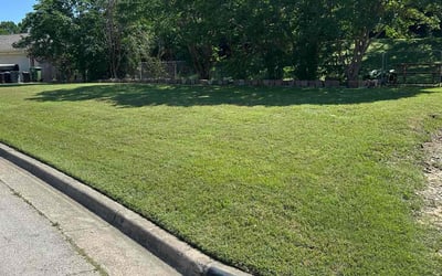 Photo of Joshua P.'s yard after getting lawn care in Winston-Salem, NC