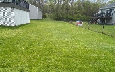 Photo of Manuel O.'s yard after getting lawn care in Chelmsford, MA