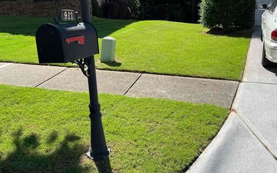 Photo of Laura A.'s yard after getting lawn care in Charleston, WV