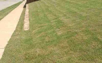 Photo of Josh C.'s yard after getting lawn care in Wildwood, NJ