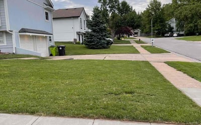 Photo of Debora J.'s yard after getting lawn care in Belton, MO