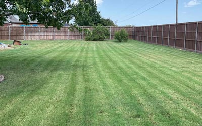 Photo of Ryan W.'s yard after getting lawn care in Haslet, TX