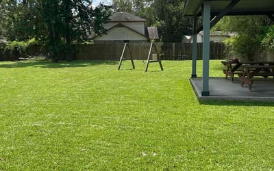 Photo of Casey R.'s yard after getting lawn care in Richmond, TX