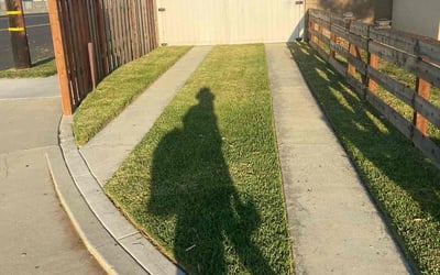 Photo of Nick L.'s yard after getting lawn care in Huntington Beach, CA