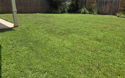 Photo of Tiffani W.'s yard after getting lawn care in Tyler, TX