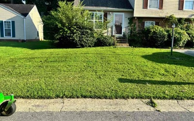 Photo of Nandana N.'s yard after getting lawn care in Belleville, NJ