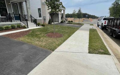 Photo of James D.'s yard after getting lawn care in Ashburn, VA