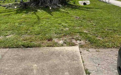 Photo of Paula P.'s yard after getting lawn care in Westchester, IL