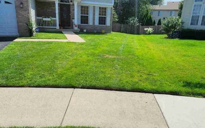 Photo of Arthur W.'s yard after getting lawn care in Bethlehem, PA