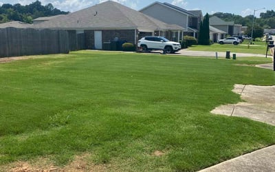 Photo of Frankie W.'s yard after getting lawn care in Stafford, VA