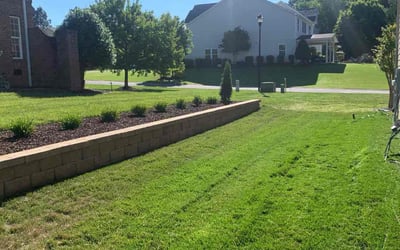 Photo of Sandra M.'s yard after getting lawn care in Great Falls, SC