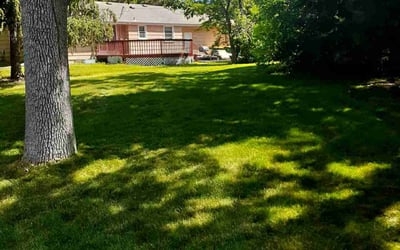 Photo of Chloe W.'s yard after getting lawn care in Buffalo, MN