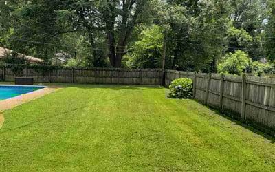 Photo of Ms. O.'s yard after getting lawn care in Rogersville, TN