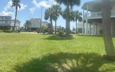 Photo of Rebecca P.'s yard after getting lawn care in Galveston, TX