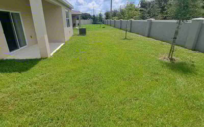 Photo of Amanda F.'s yard after getting lawn care in Eustis, FL