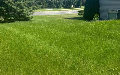 Photo of Ruben N.'s yard after getting lawn care in Sun Prairie, WI
