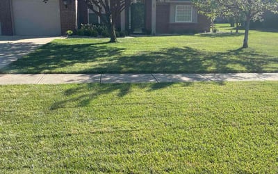 Photo of Kayla U.'s yard after getting lawn care in Camby, IN