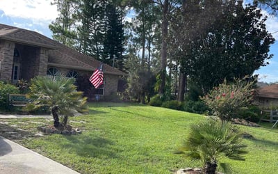 Photo of Laraine B.'s yard after getting lawn care in Kissimmee, FL
