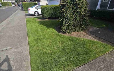Photo of Satirah G.'s yard after getting lawn care in Redmond, WA