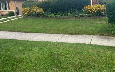 Photo of Angelica L.'s yard after getting lawn care in Skokie, IL