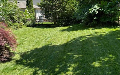 Photo of Ronyetta B.'s yard after getting lawn care in Burke, VA