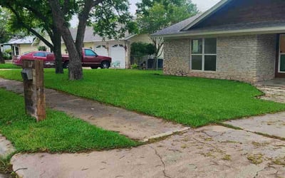 Photo of Theresa R.'s yard after getting lawn care in San Leandro, CA