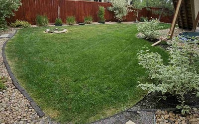 Photo of Jenny H.'s yard after getting lawn care in Golden, CO