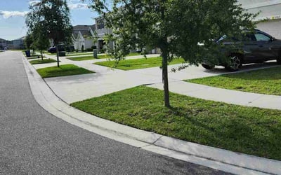 Photo of Michelle H.'s yard after getting lawn care in North Andover, MA