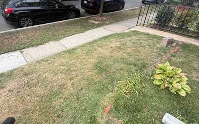 Photo of Lori L.'s yard after getting lawn care in Columbia, TN