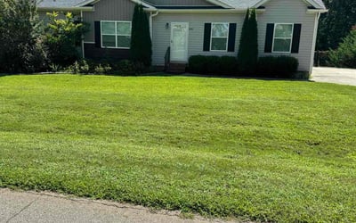 Photo of Eloise K.'s yard after getting lawn care in New Canaan, CT