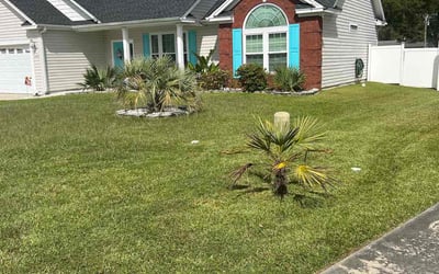 Photo of Andrew M.'s yard after getting lawn care in Loris, SC
