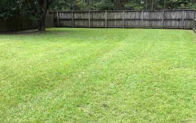 Photo of Yi F.'s yard after getting lawn care in Laurel, MD