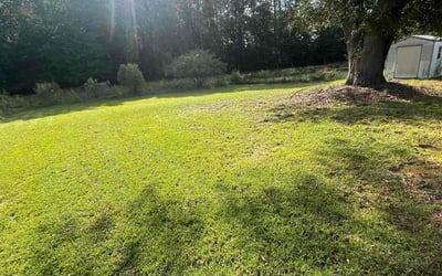 Photo of Nneka W.'s yard after getting lawn care in Douglasville, GA